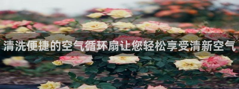 凯发旗舰厅：清洗便捷的空气循环扇让您轻松享受清新空气