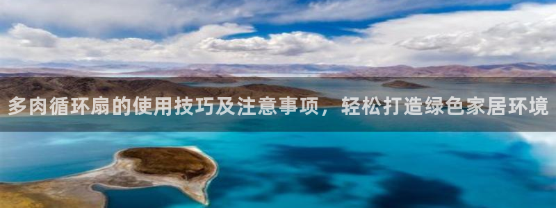 凯发注册网站：多肉循环扇的使用技巧及注意事项，轻松打造绿色家居环境