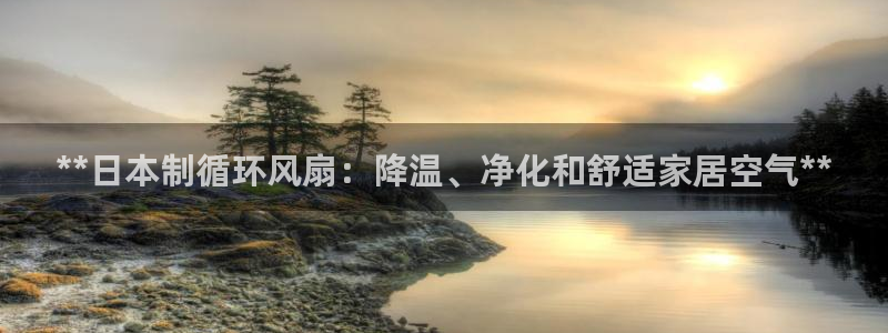 凯发国际平台官网：**日本制循环风扇：降温、净化和舒适家居空气**