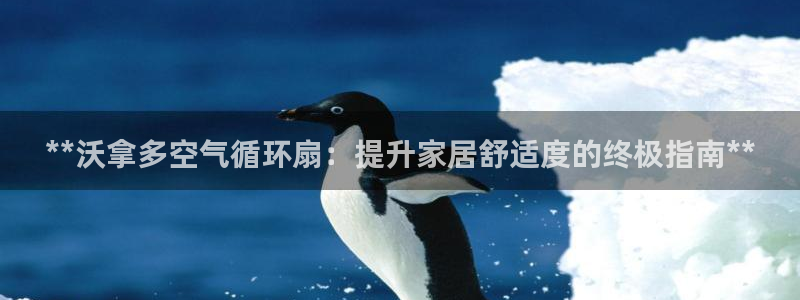 凯发国际网站首页：**沃拿多空气循环扇：提升家居舒适度的终极指南**