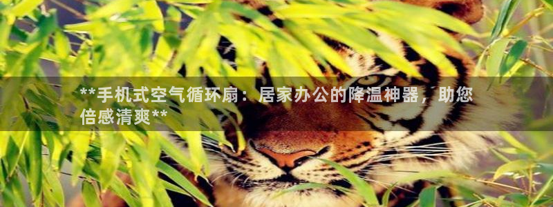 凯发注册手机版官网：**手机式空气循环扇：居家办公的降温神器，助您
倍感清爽**