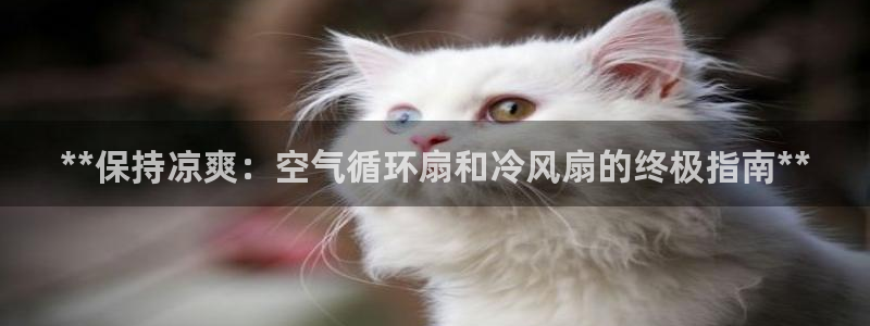 凯发线上官方网站下载网址：**保持凉爽：空气循环扇和冷风扇的终极指南**