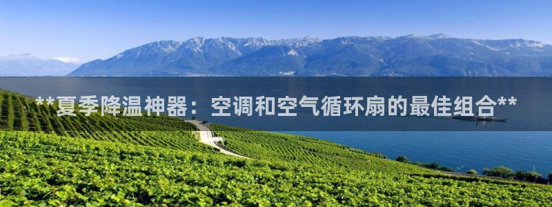 凯发国际平台登录不上：**夏季降温神器：空调和空气循环扇的最佳组合**