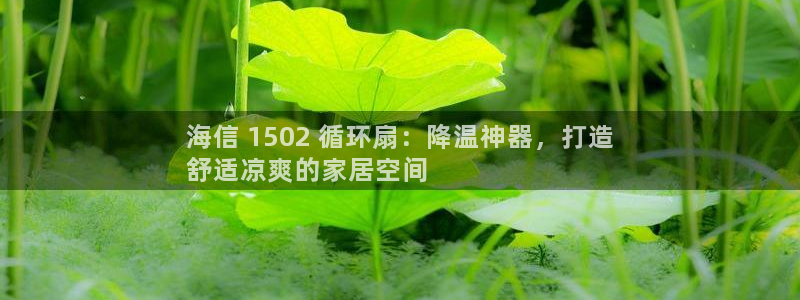 凯发k8手机是正品吗知乎：海信 1502 循环扇：降温神器，打造
舒适凉爽的家居空间