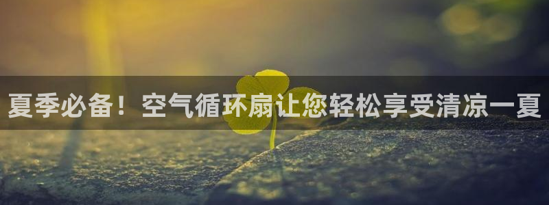 凯发平台8：夏季必备！空气循环扇让您轻松享受清凉一夏