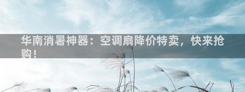 凯发国际app下载：华南消暑神器：空调扇降价特卖，快来抢
购！