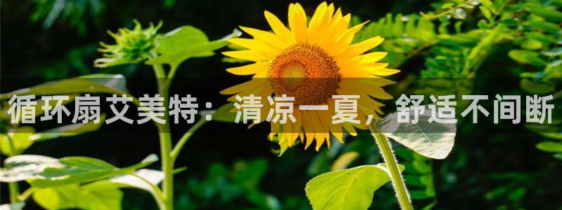 凯发国际是什么投资平台：循环扇艾美特：清凉一夏，舒适不间断