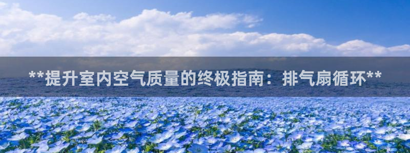 凯发k8国际下载：**提升室内空气质量的终极指南：排气扇循环**