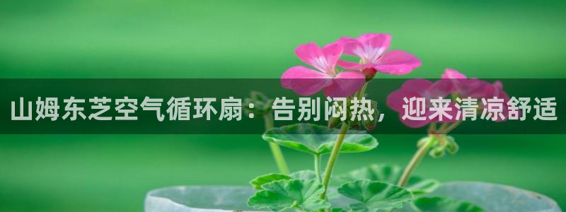 凯发k8手机是正品吗