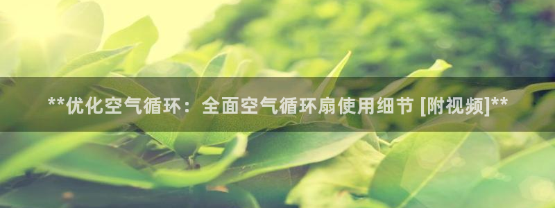 凯发k8天生赢家·一触即发：**优化空气循环：全面空气循环扇使用细节 [附视频]**