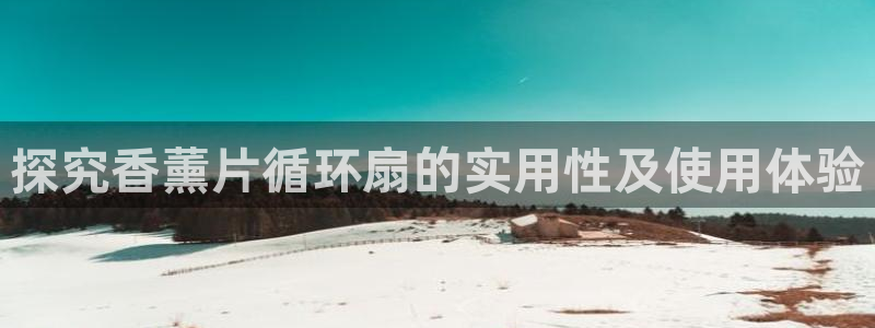 凯发网官网：探究香薰片循环扇的实用性及使用体验
