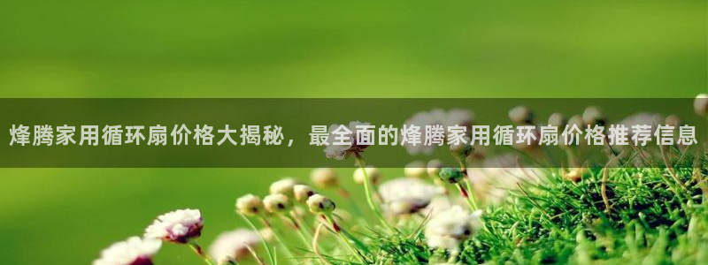 凯发官网入口首页：烽腾家用循环扇价格大揭秘，最全面的烽腾家用循环扇价格推荐信息