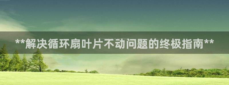 凯发k8国际下载：**解决循环扇叶片不动问题的终极指南**
