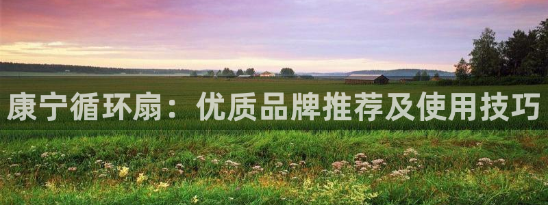 凯发K8登录入口：康宁循环扇：优质品牌推荐及使用技巧