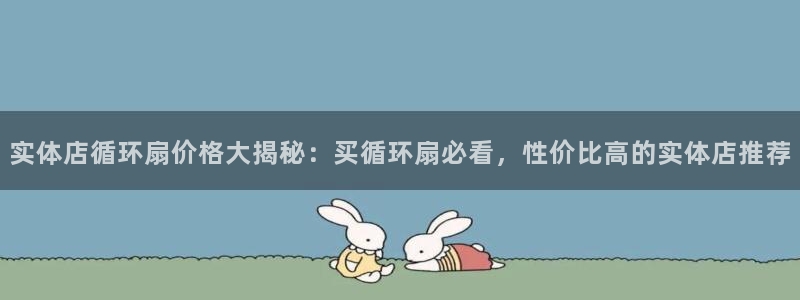 凯发k8国际不能提款了吗：实体店循环扇价格大揭秘：买循环扇必看，性价比高的实体店推荐