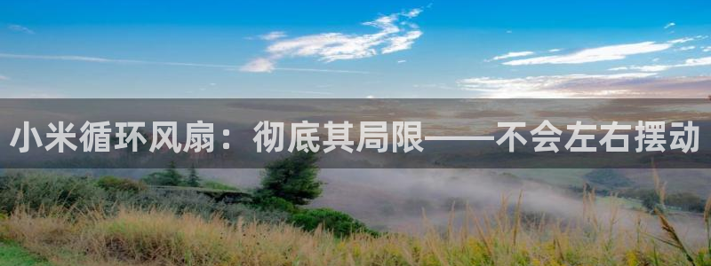 凯发k8手机是正品吗多少钱：小米循环风扇：彻底其局限——不会左右摆动