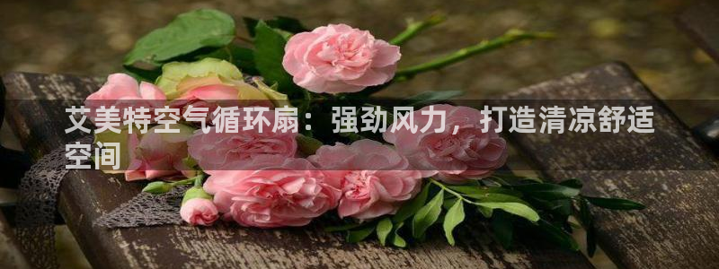 凯发k8娱乐官网最新版本：艾美特空气循环扇：强劲风力，打造清凉舒适
空间