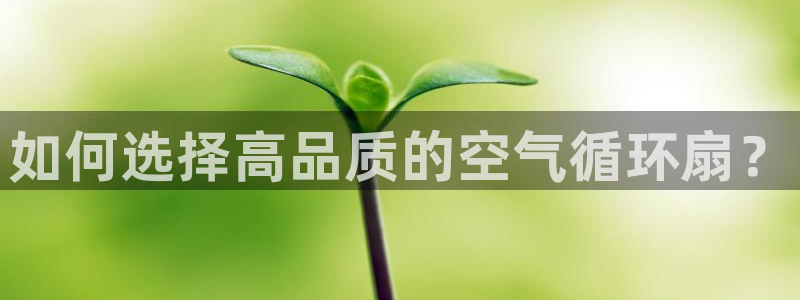 凯发k8娱乐平台下载：如何选择高品质的空气循环扇？