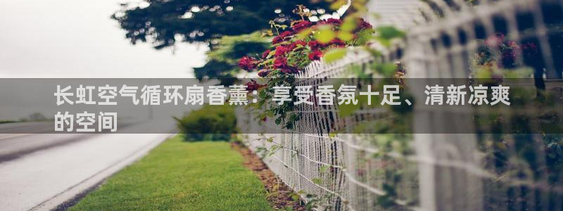 凯发k8娱乐官方下载：长虹空气循环扇香薰：享受香氛十足、清新凉爽
的空间