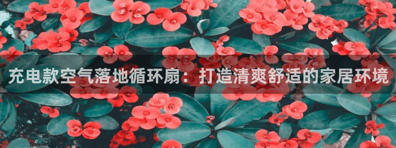 凯发k8国际真人版可靠送38元：充电款空气落地循环扇：打造清爽舒适的家居环境
