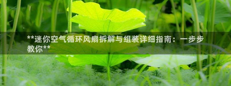 凯发k8娱乐官网入：**迷你空气循环风扇拆解与组装详细指南：一步步
教你**