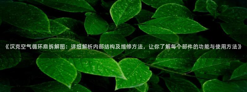 凯发平台8：《汉克空气循环扇拆解图：详细解析内部结构及维修方法，让你了解每个部件的功能与使用方法》