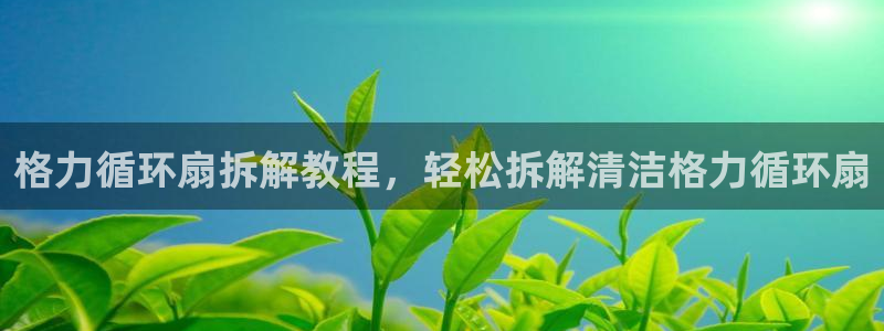 凯发旗舰：格力循环扇拆解教程，轻松拆解清洁格力循环扇