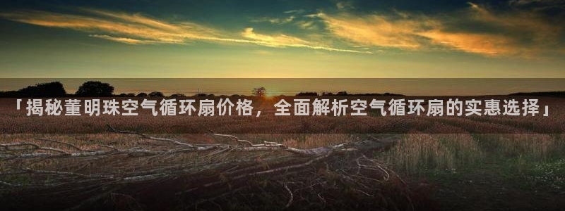 凯发官网登录地址陆地：「揭秘董明珠空气循环扇价格，全面解析空气循环扇的实惠选择」
