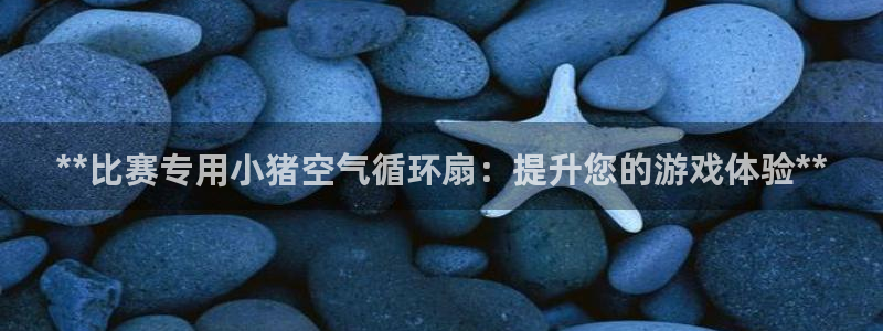 凯发国际网址官网：**比赛专用小猪空气循环扇：提升您的游戏体验**