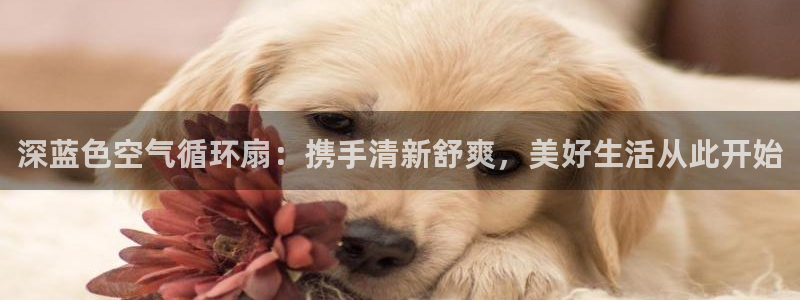 凯发app可信吗：深蓝色空气循环扇：携手清新舒爽，美好生活从此开始