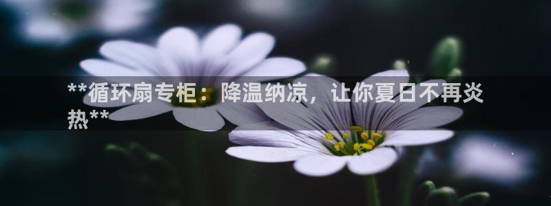 凯发国际平台官网：**循环扇专柜：降温纳凉，让你夏日不再炎
热**