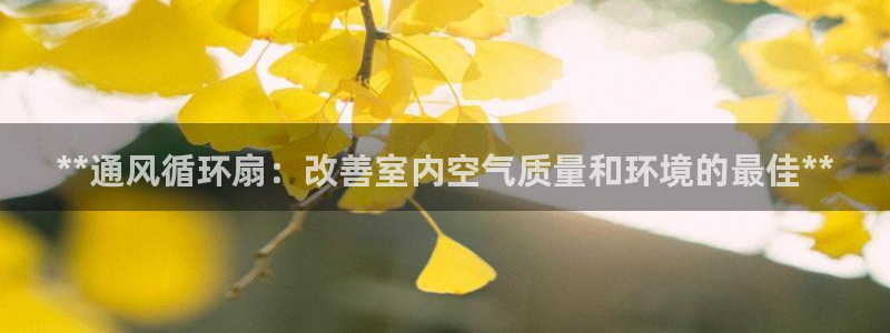 凯发平台医7O777：**通风循环扇：改善室内空气质量和环境的最佳**