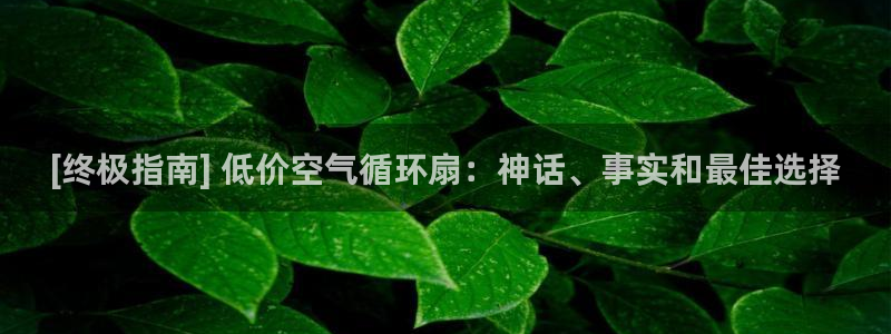 凯发k8娱乐官网手机端中心：[终极指南] 低价空气循环扇：神话、事实和最佳选择