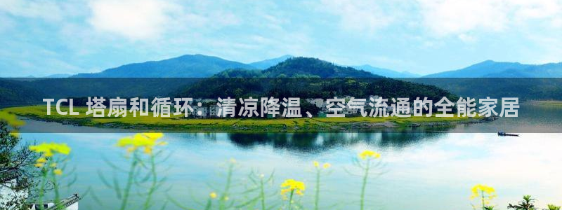凯发官网登录地址陆地：TCL 塔扇和循环：清凉降温、空气流通的全能家居
