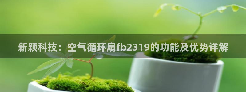 凯发官网网址多少：新颖科技：空气循环扇fb2319的功能及优势详解