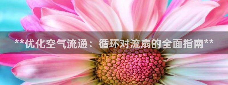 凯发国际平台登录不上：**优化空气流通：循环对流扇的全面指南**