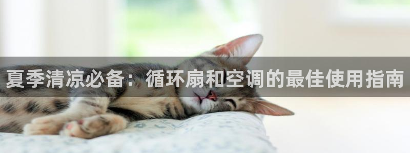 凯发国际网站官网