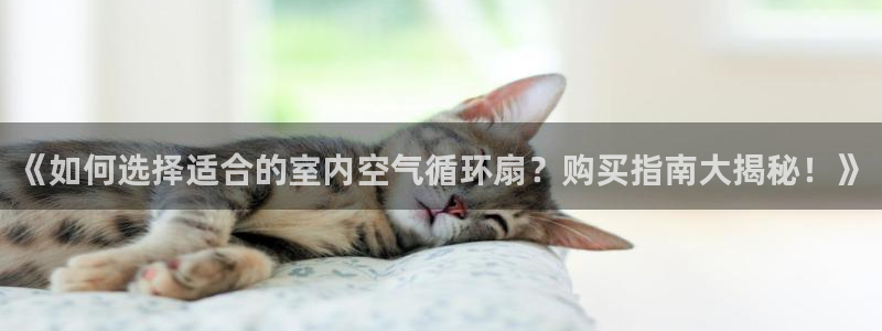 凯发k8娱乐品牌导航