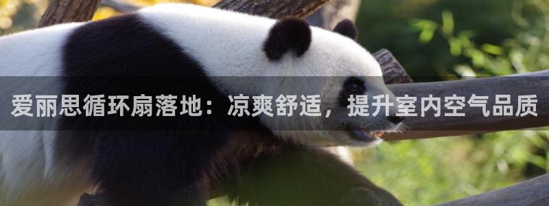 凯发k8国际版官网：爱丽思循环扇落地：凉爽舒适，提升室内空气品质