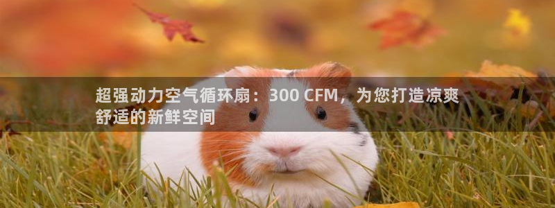 凯发平台网址：超强动力空气循环扇：300 CFM，为您打造凉爽
舒适的新鲜空间