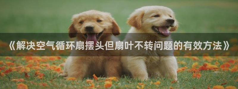 凯发旗舰客户端：《解决空气循环扇摆头但扇叶不转问题的有效方法》
