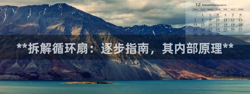凯发国际官网下载：**拆解循环扇：逐步指南，其内部原理**