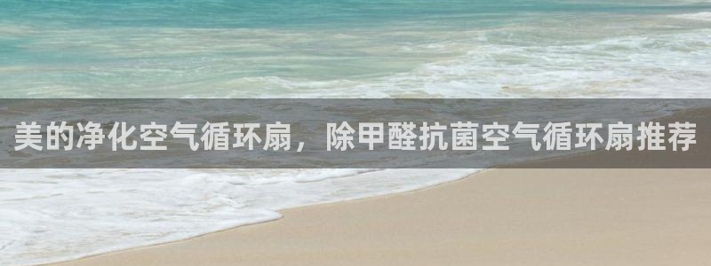 凯发k8娱乐：美的净化空气循环扇，除甲醛抗菌空气循环扇推荐