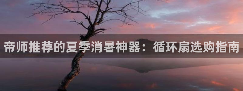 凯发在线官网登录下载：帝师推荐的夏季消暑神器：循环扇选购指南
