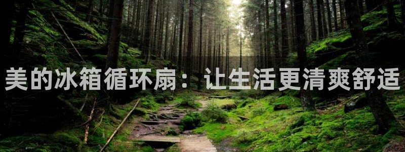 凯发k8娱乐官网入：美的冰箱循环扇：让生活更清爽舒适