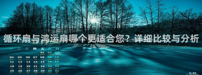 凯发k8娱乐是什么平台：循环扇与鸿运扇哪个更适合您？详细比较与分析