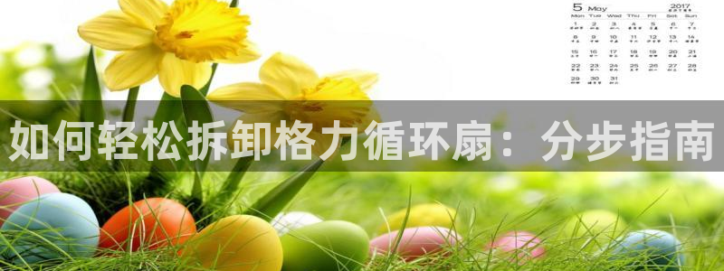 凯发k8旗舰厅手机app下载：如何轻松拆卸格力循环扇：分步指南