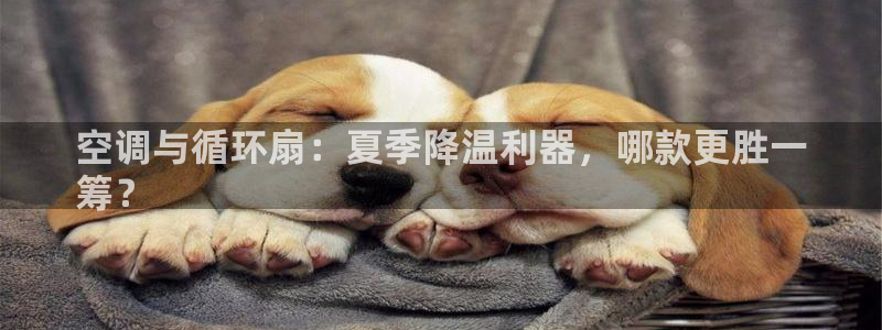 凯发国际网址官网：空调与循环扇：夏季降温利器，哪款更胜一
筹？