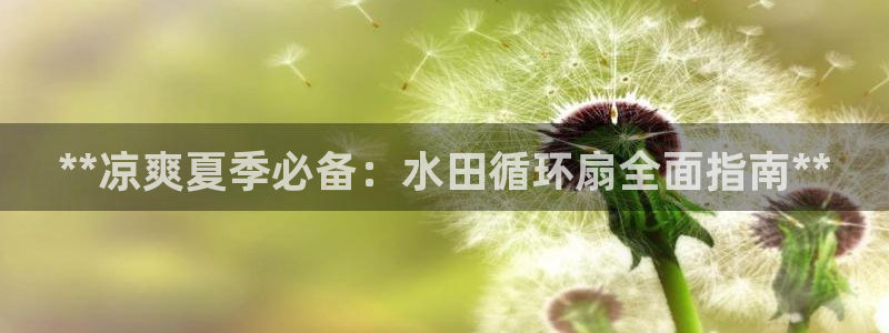 凯发k8国际真人娱乐手机app：**凉爽夏季必备：水田循环扇全面指南**