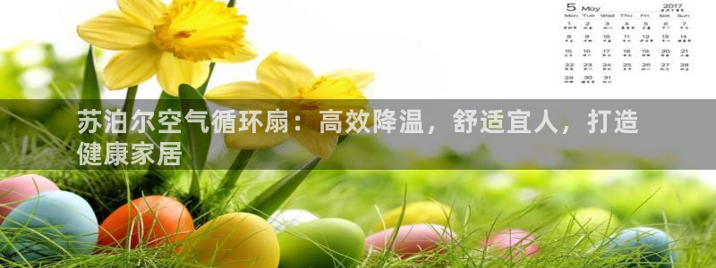 凯发平台开户：苏泊尔空气循环扇：高效降温，舒适宜人，打造
健康家居